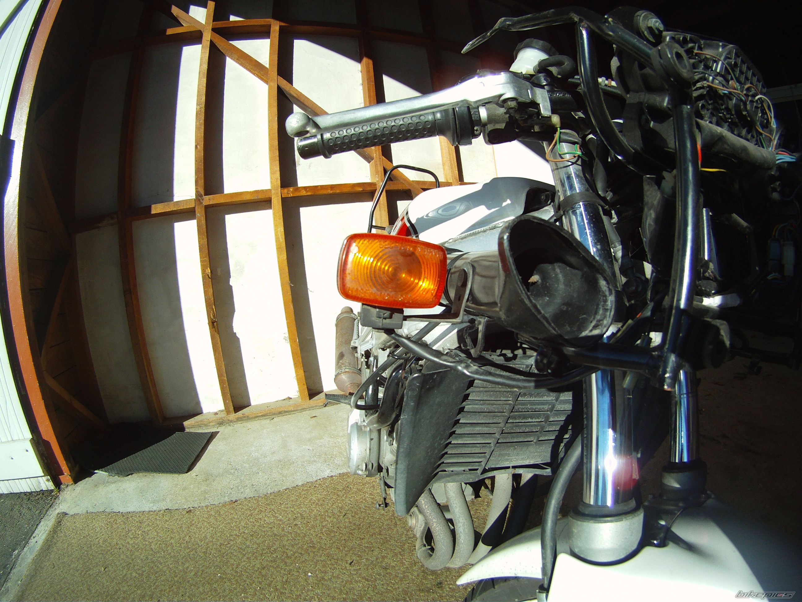 1991 YAMAHA FZR 250 | Picture 2081008 motorcycle photo