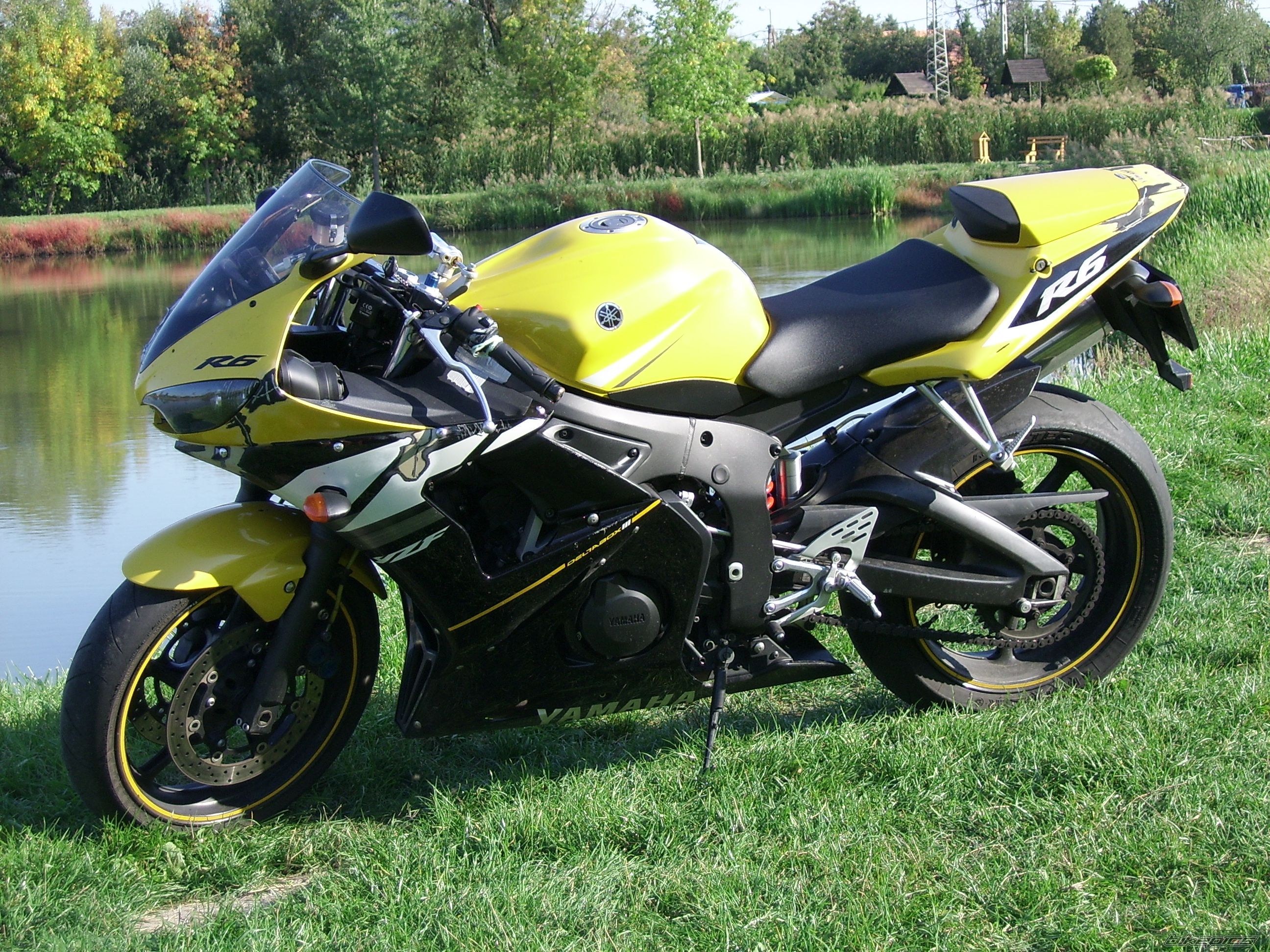 2003 YAMAHA YZF R6 | Picture 2081303 motorcycle photo