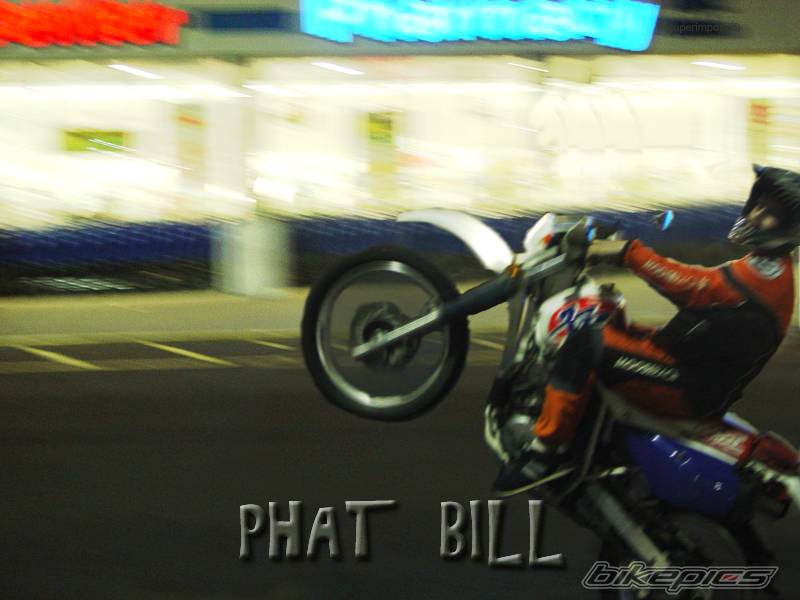 1994 HONDA XR 650 | Picture 208165 motorcycle photo