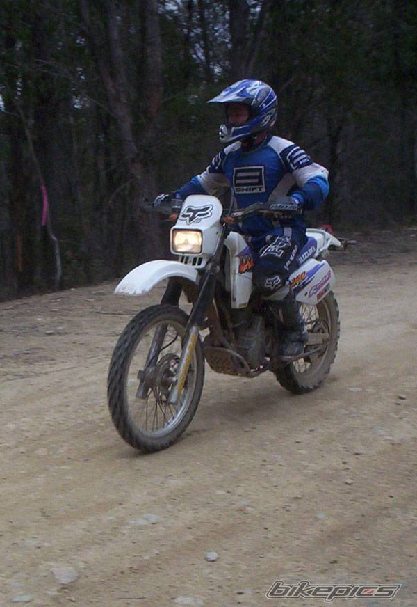 1995 SUZUKI DR 350 | Picture 208202 motorcycle photo