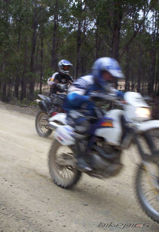 1995 SUZUKI DR 350 | Picture 208206 motorcycle photo