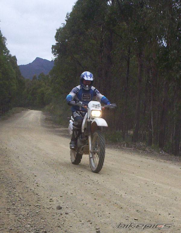 1995 SUZUKI DR 350 | Picture 208208 motorcycle photo