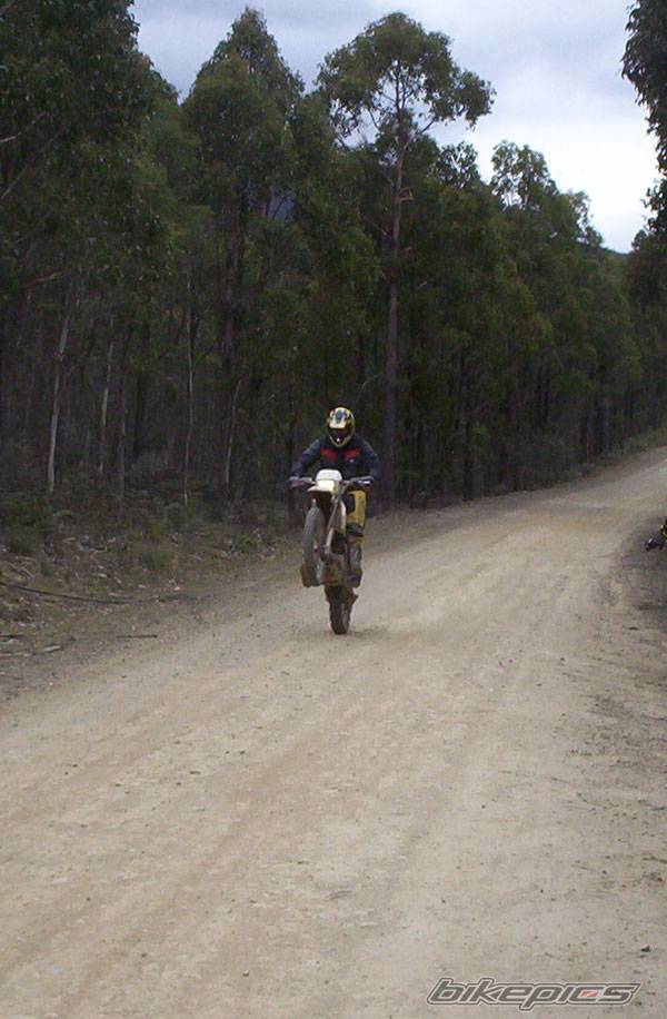 1997 SUZUKI DR 350 | Picture 208217 motorcycle photo