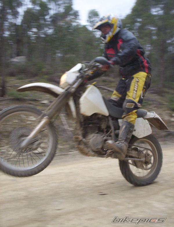 1997 SUZUKI DR 350 | Picture 208218 motorcycle photo