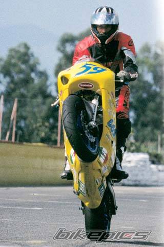 2003 SUZUKI SV 650S | Picture 208231 motorcycle photo