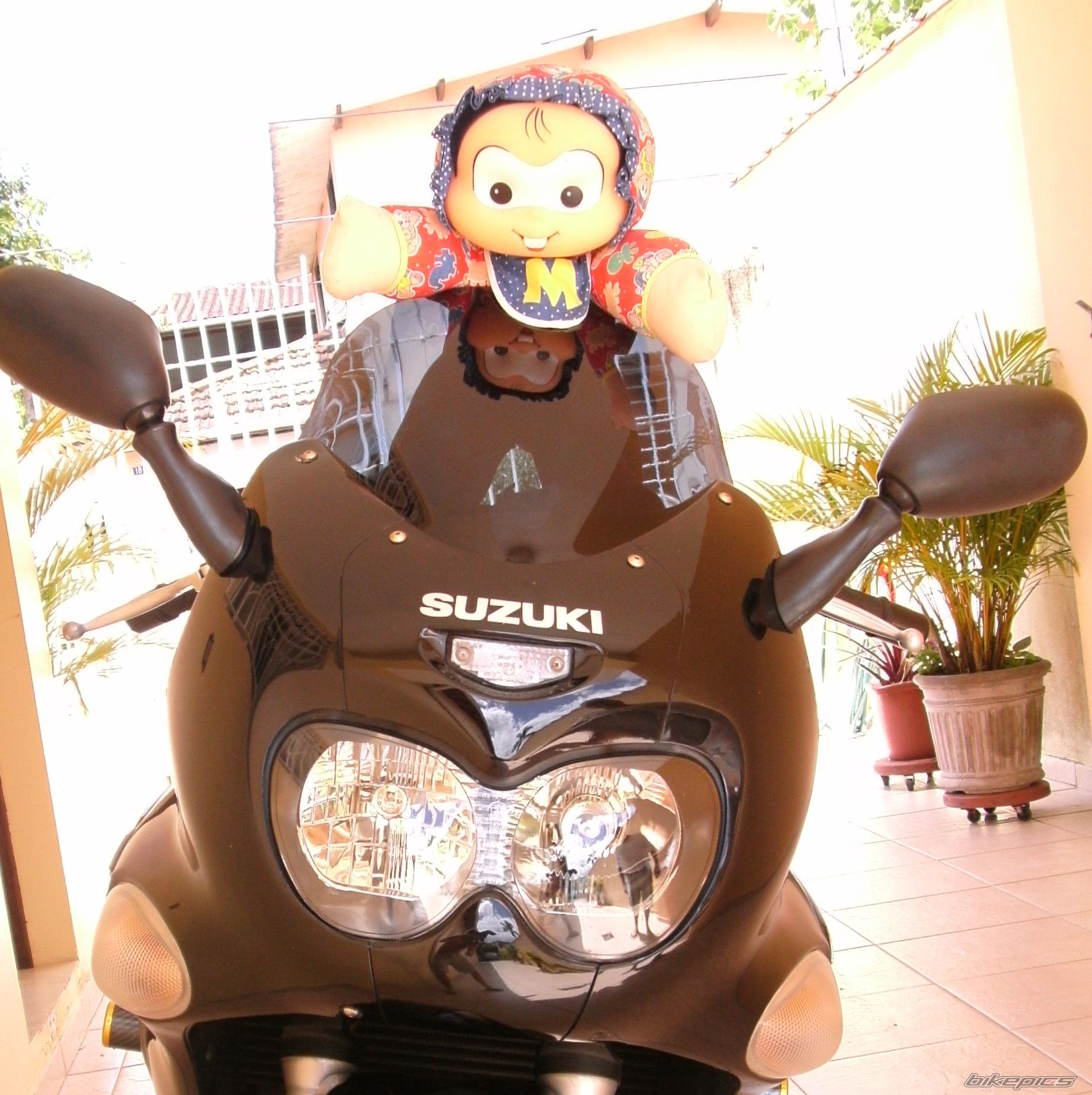 2008 SUZUKI GSX 750F | Picture 2082779 motorcycle photo