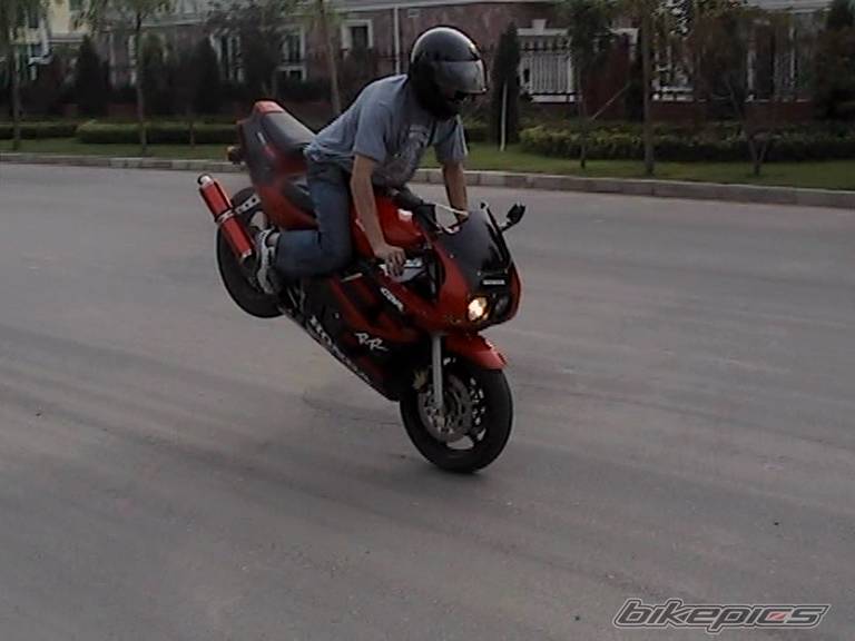 1998 HONDA CBR 400 | Picture 208298 motorcycle photo