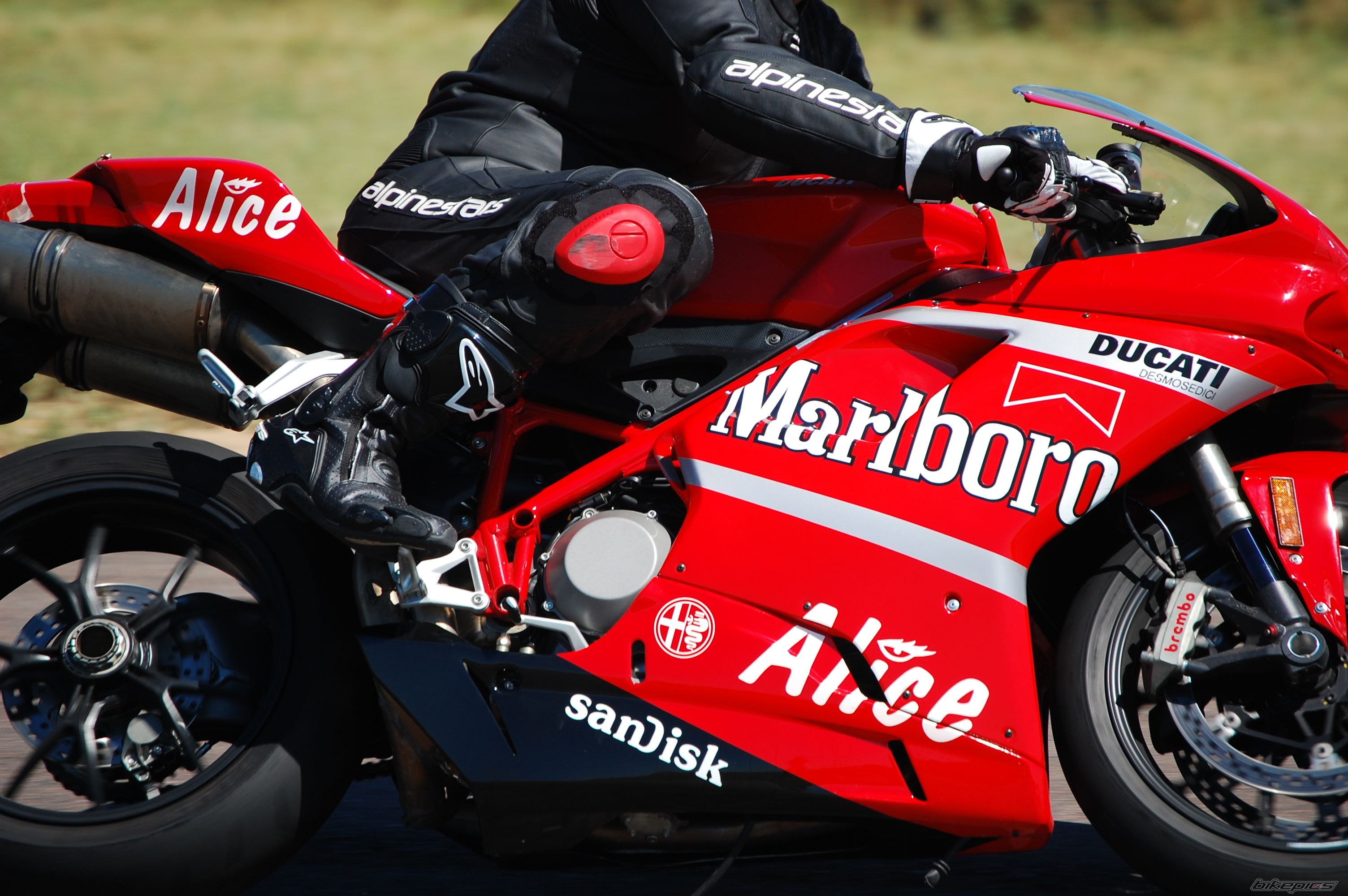 2008 DUCATI 1098 | Picture 2083421 motorcycle photo