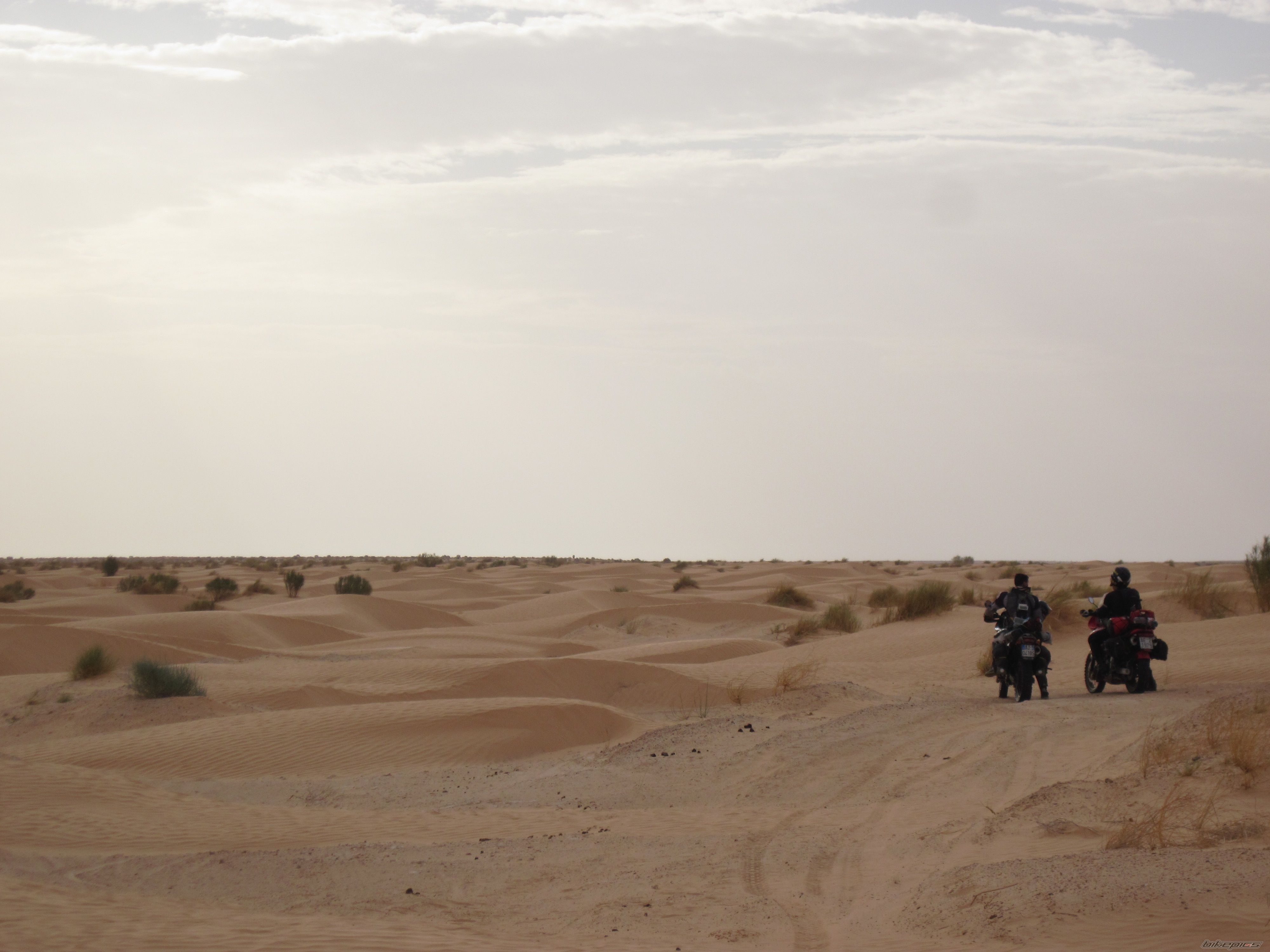    | Picture 2083582 motorcycle photo