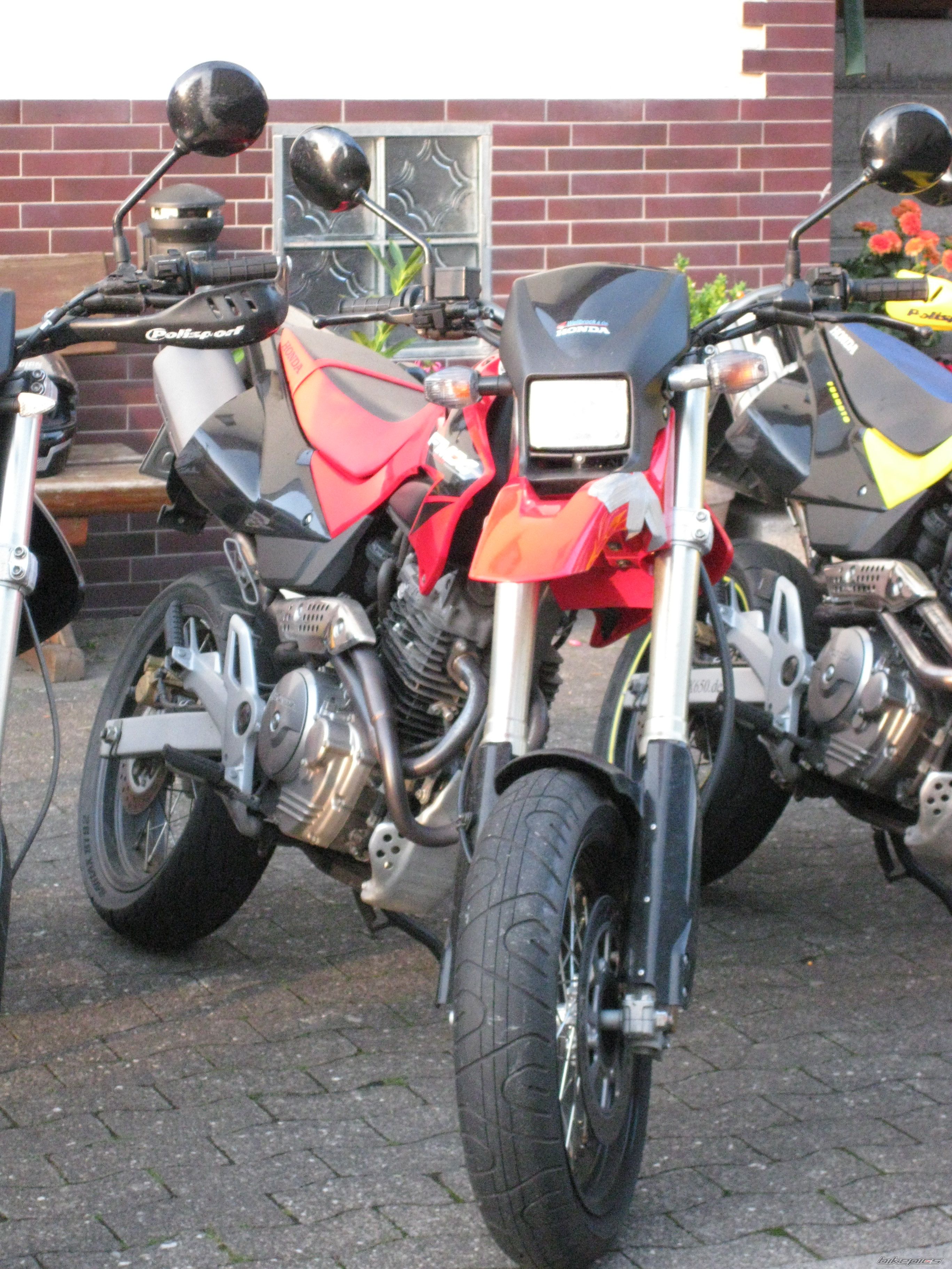 2009 HONDA FMX 650 FUNMOTO | Picture 2083675 motorcycle photo