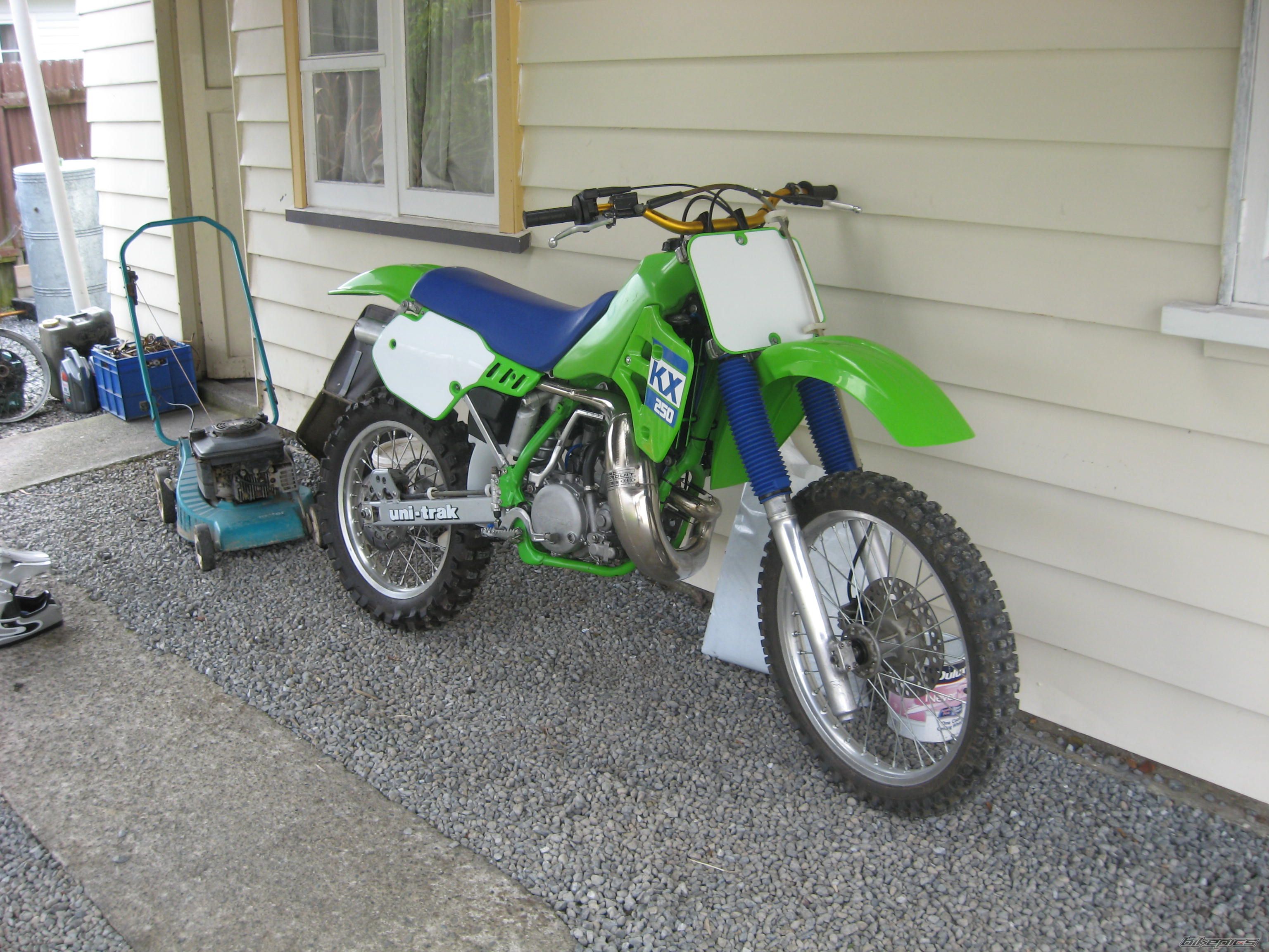 1988 KAWASAKI KX 250 | Picture 2084504 motorcycle photo