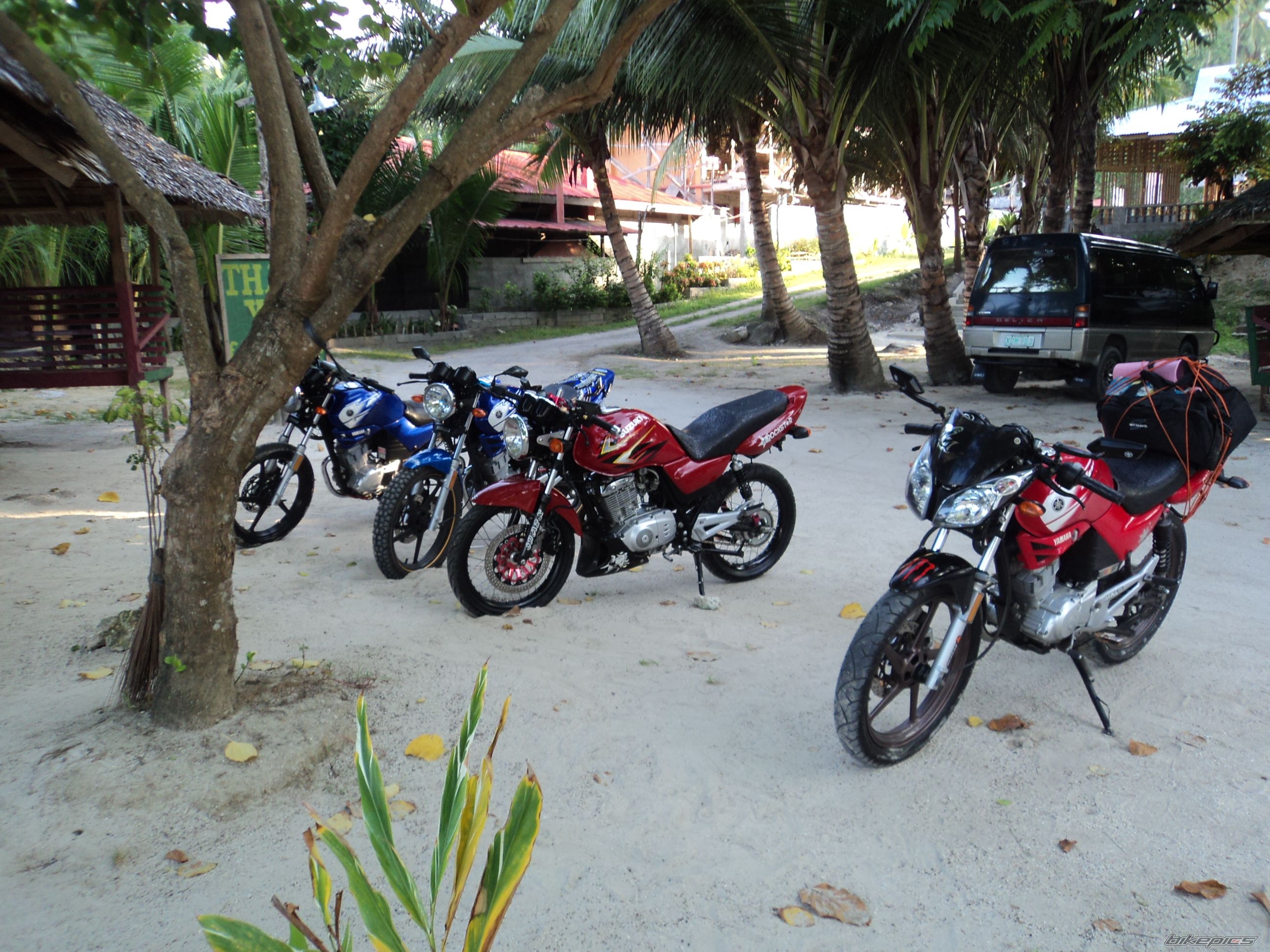2009 SUZUKI THUNDER 125 | Picture 2084540 motorcycle photo
