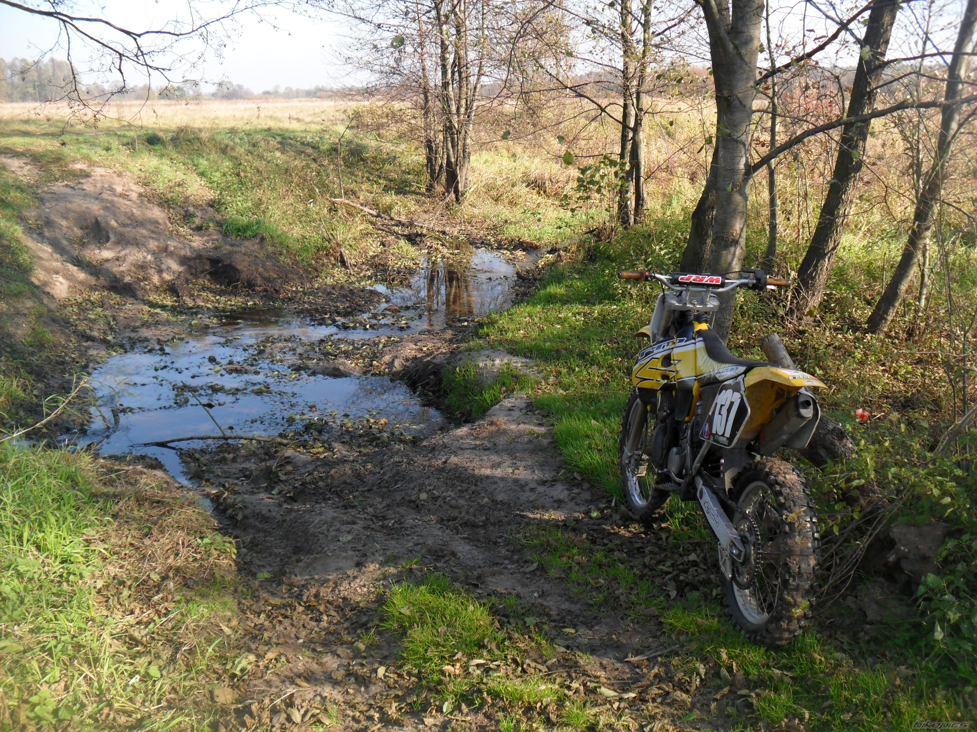 1998 SUZUKI RM 250 | Picture 2084787 motorcycle photo