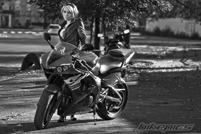 2004 YAMAHA YZF R6 | Picture 2084805 motorcycle photo