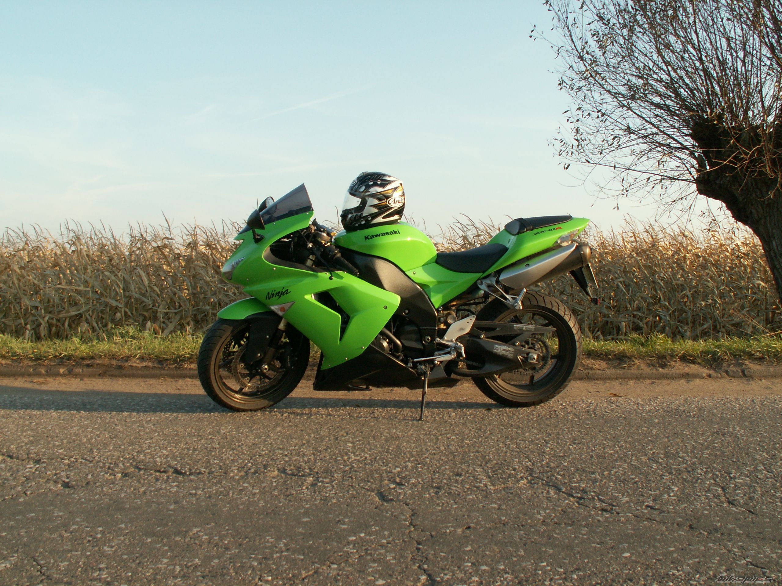 2006 KAWASAKI ZX 10R | Picture 2084815 motorcycle photo