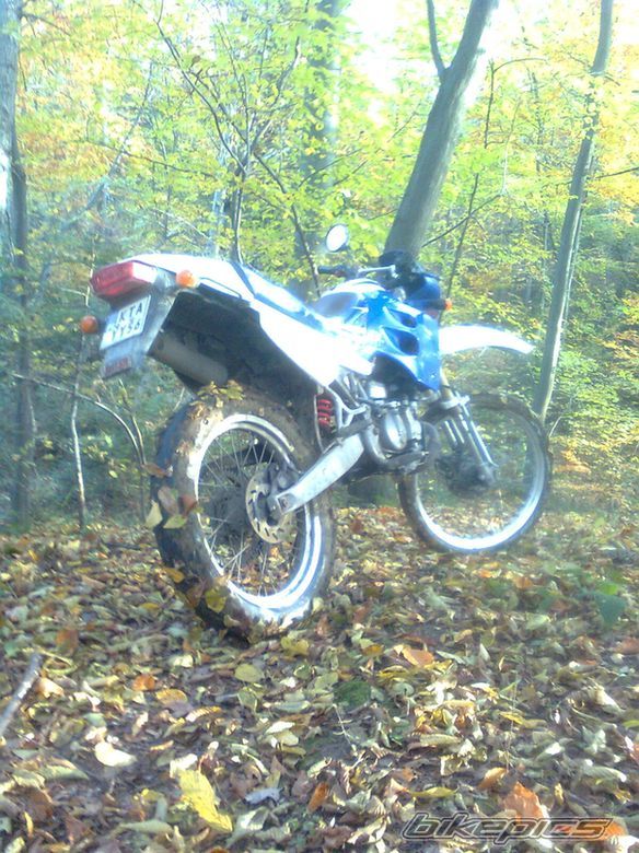 1999 DERBI SENDA R 50 | Picture 2085205 motorcycle photo