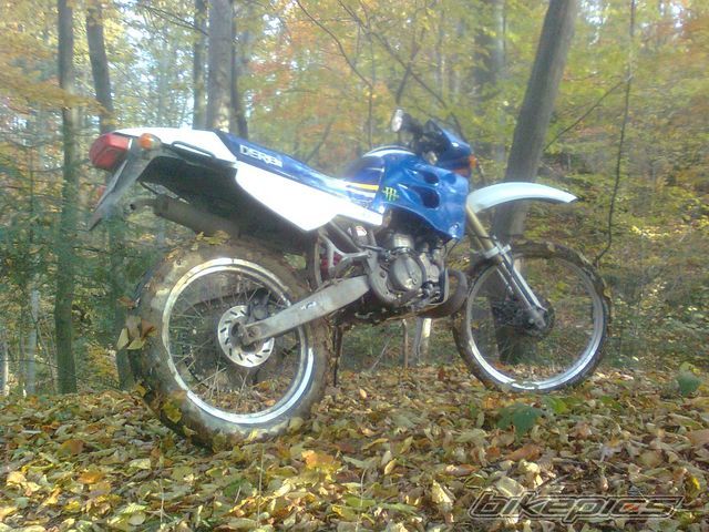 1999 DERBI SENDA R 50 | Picture 2085215 motorcycle photo