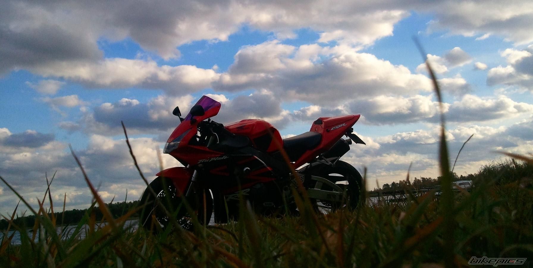 2002 HONDA CBR 900 | Picture 2085425 motorcycle photo