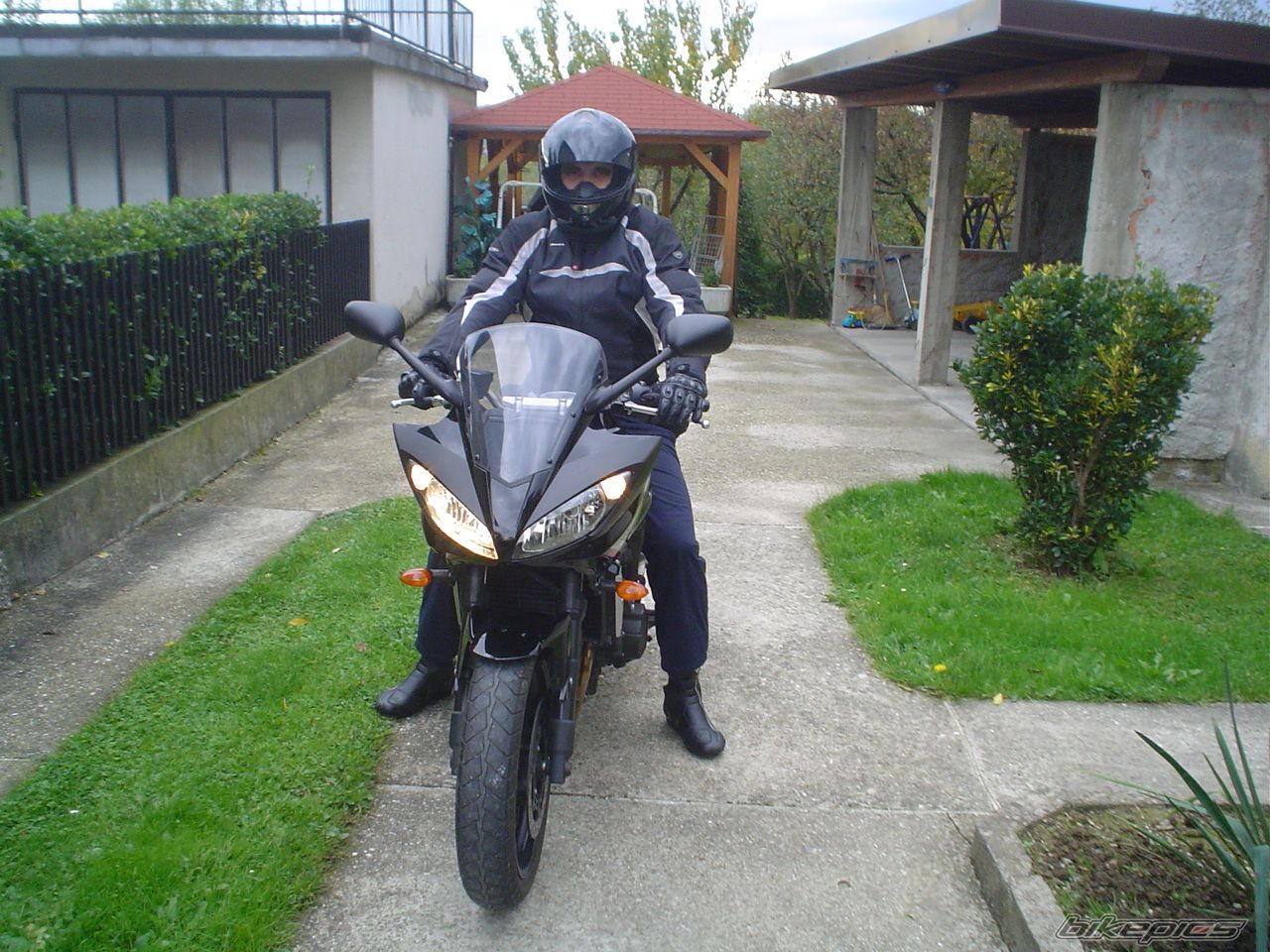 2008 YAMAHA FZ6 FAZER | Picture 2085668 motorcycle photo