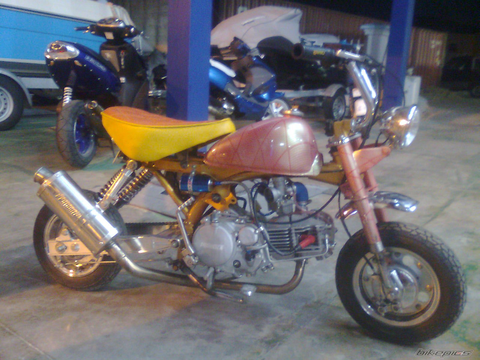 2009 HONDA Z 50 | Picture 2085737 motorcycle photo
