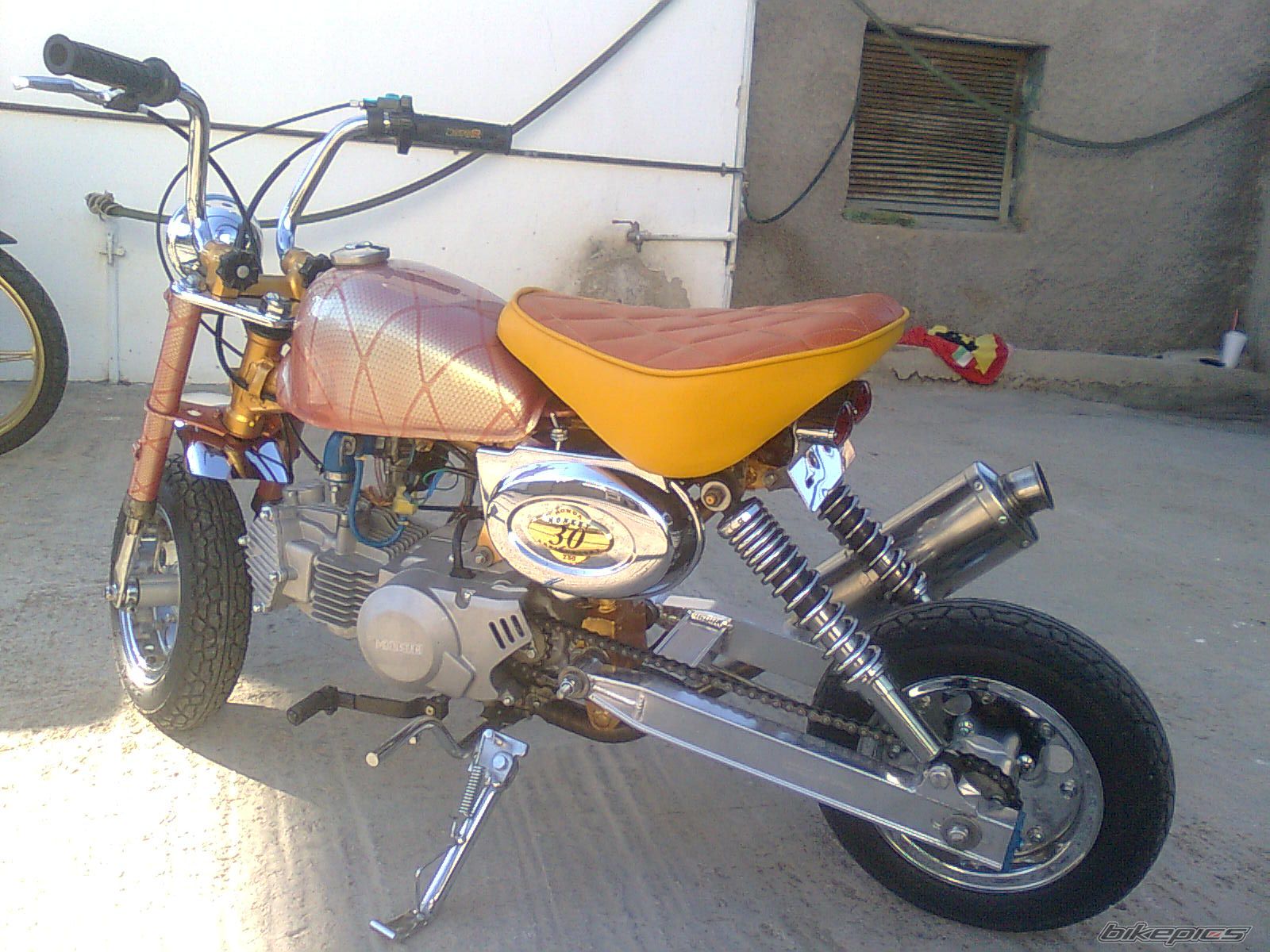 2009 HONDA Z 50 | Picture 2085739 motorcycle photo