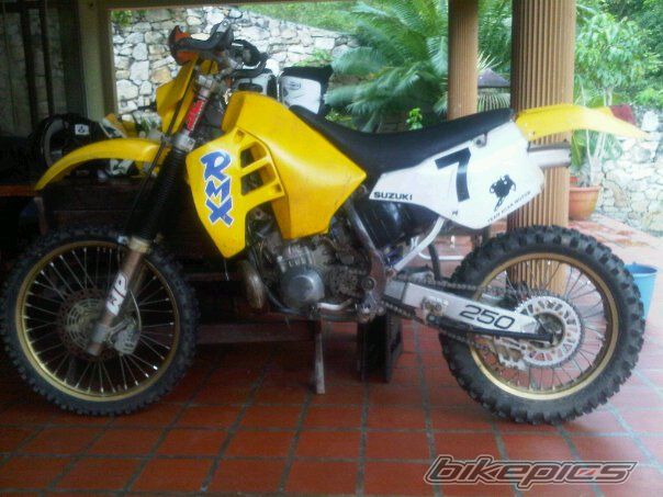 1994 SUZUKI RMX 250 | Picture 2086031 motorcycle photo