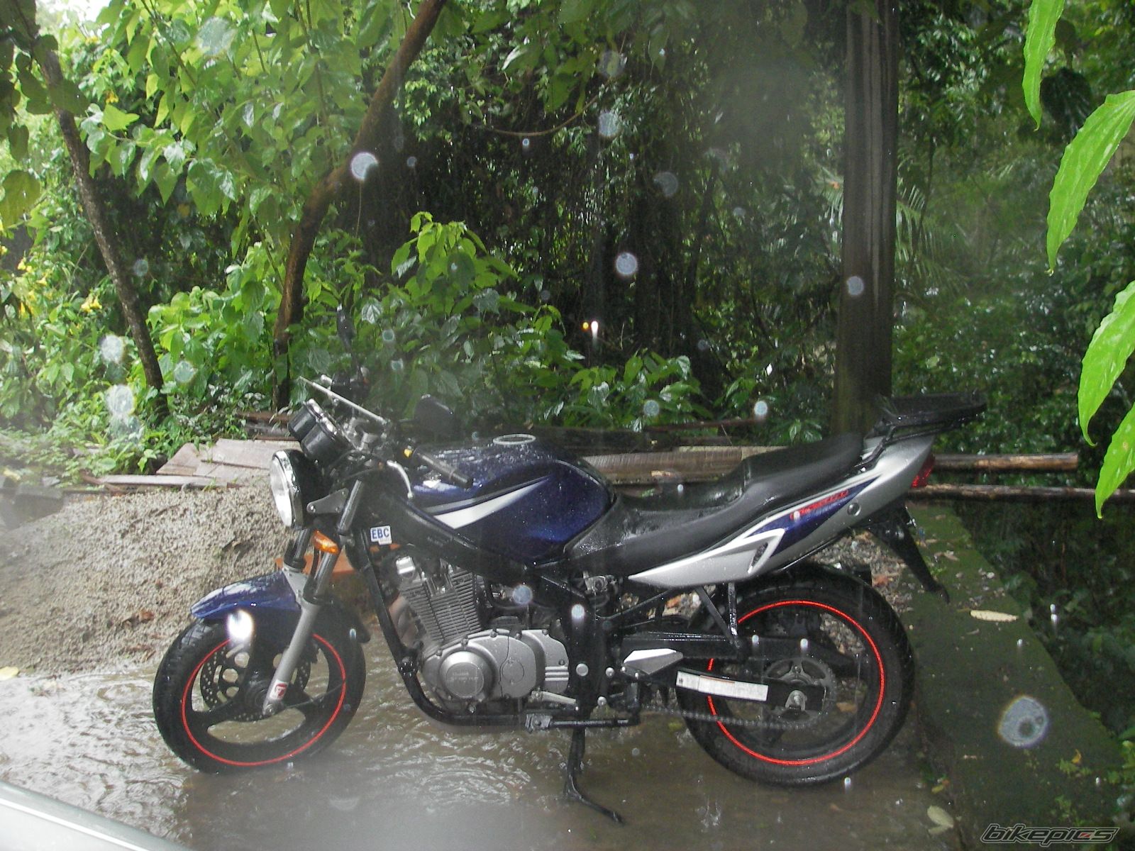 2008 SUZUKI GS 500 | Picture 2086700 motorcycle photo