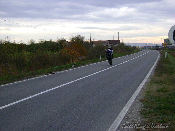2007 YAMAHA YZF R6 | Picture 2086997 motorcycle photo