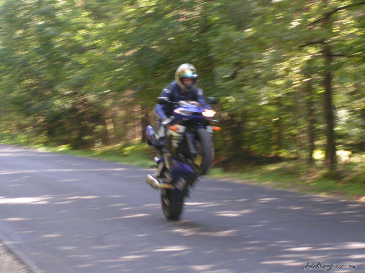 2003 YAMAHA YZF R6 | Picture 208737 motorcycle photo