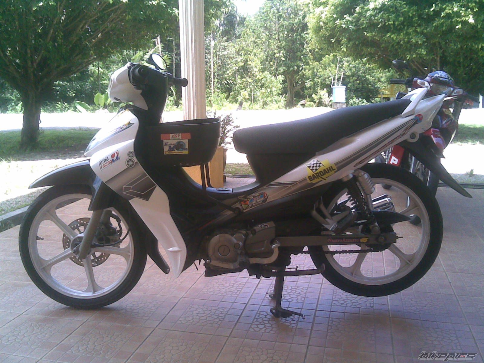 2005 YAMAHA YAMAHA SE SPECIAL | Picture 2087398 motorcycle photo