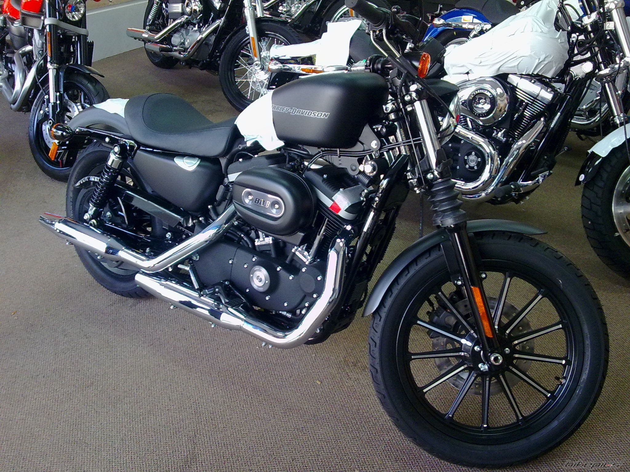 2010 HARLEY DAVIDSON XL 883C | Picture 2087913 motorcycle photo