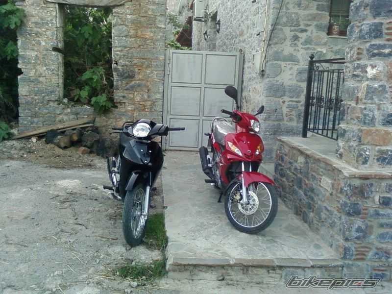 2010 HONDA INNOVA 125 | Picture 2088206 motorcycle photo