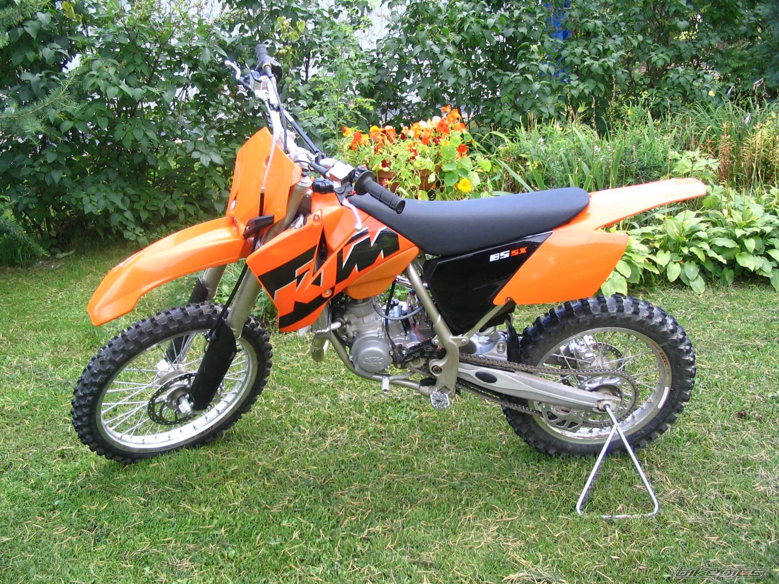 2005 KTM 85 SX | Picture 208831 motorcycle photo