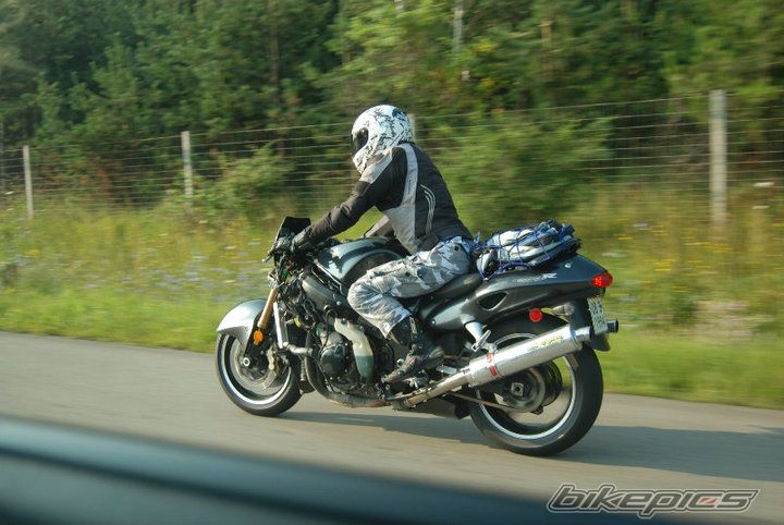 2005 SUZUKI HAYABUSA | Picture 2088459 motorcycle photo