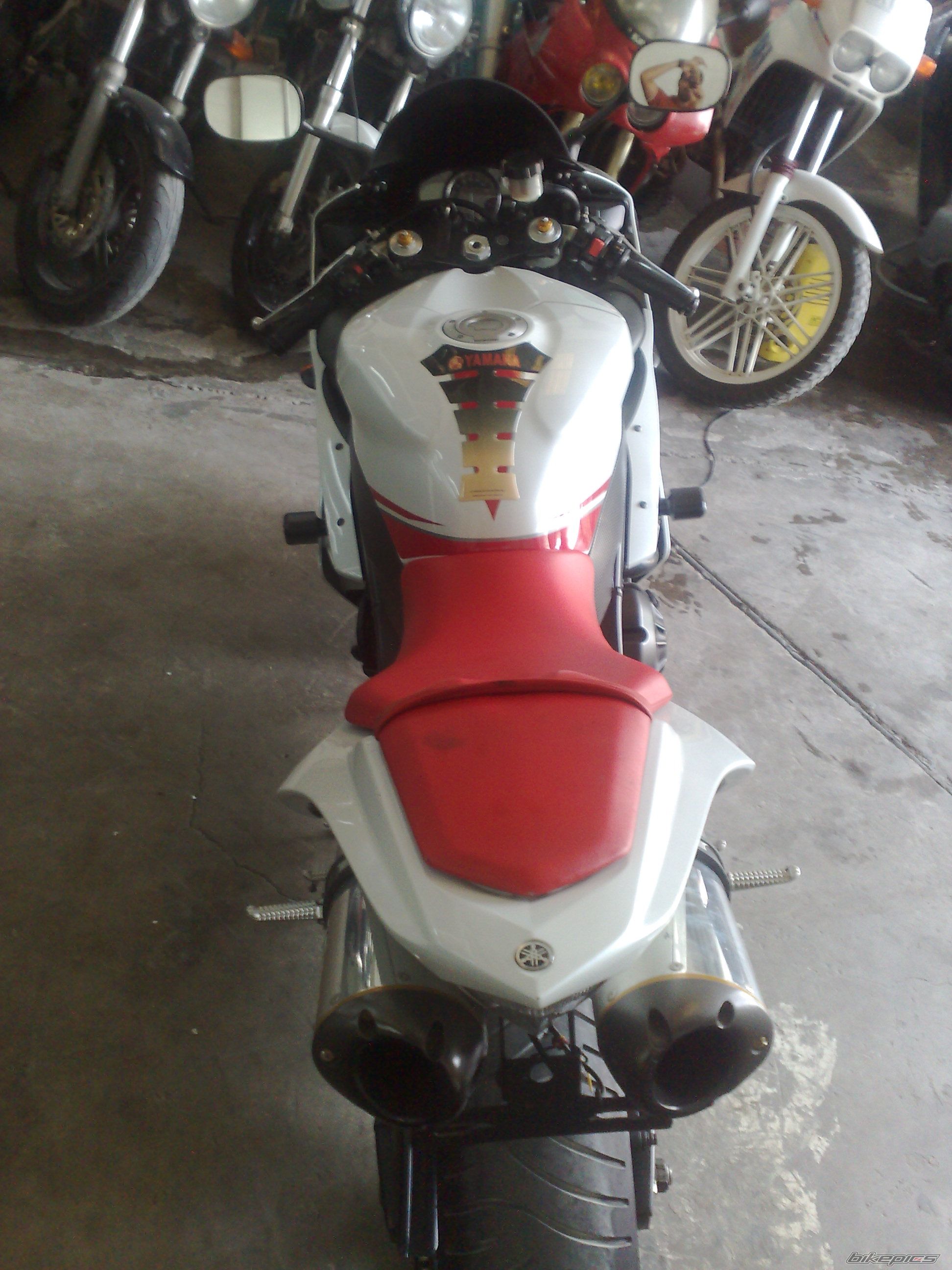 2010 YAMAHA YZF R1 | Picture 2088475 motorcycle photo