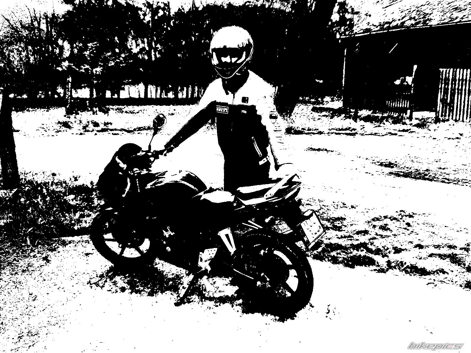 2009 HONDA CBR 125 | Picture 2088655 motorcycle photo