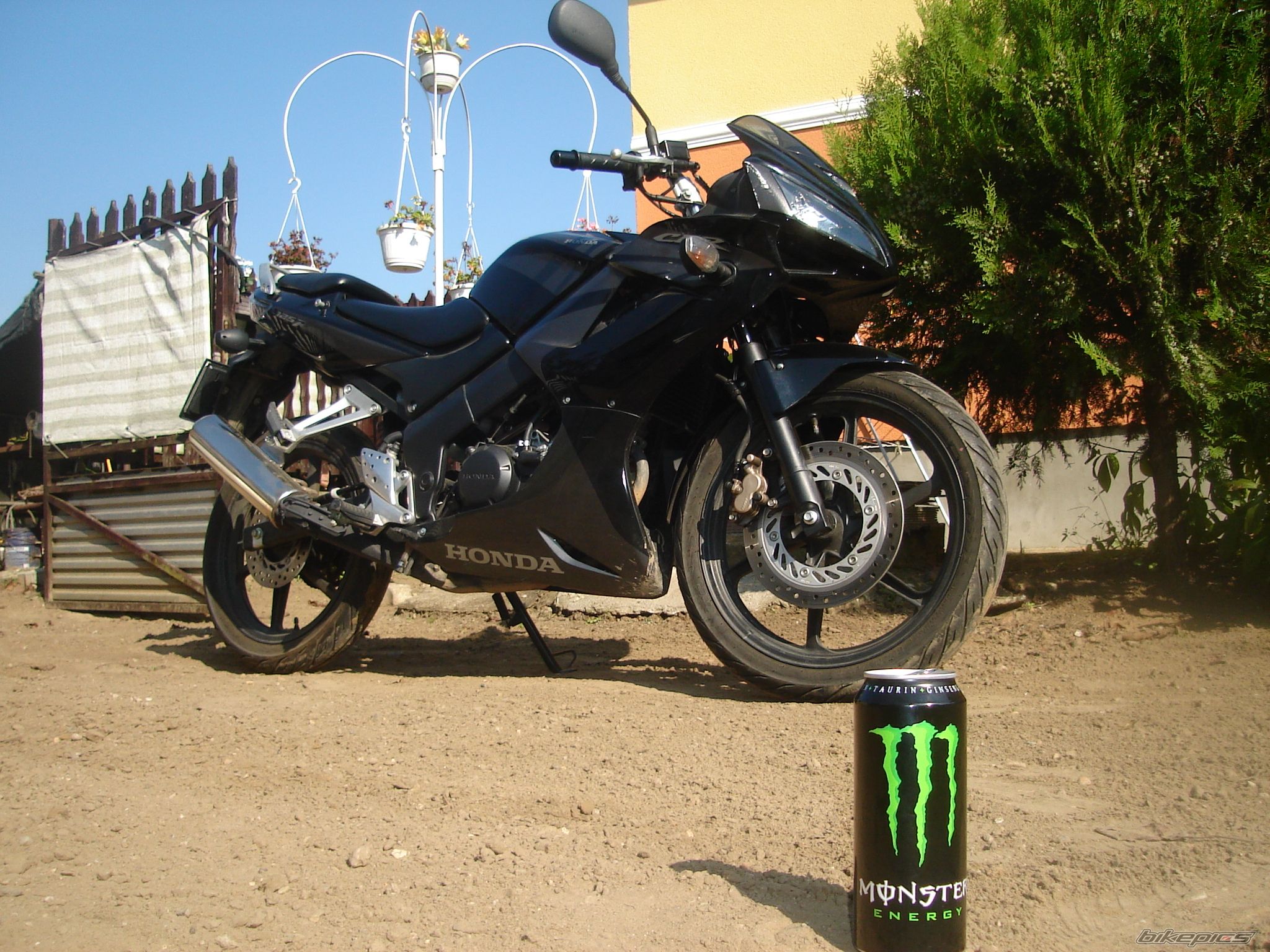 2009 HONDA CBR 125 | Picture 2088669 motorcycle photo