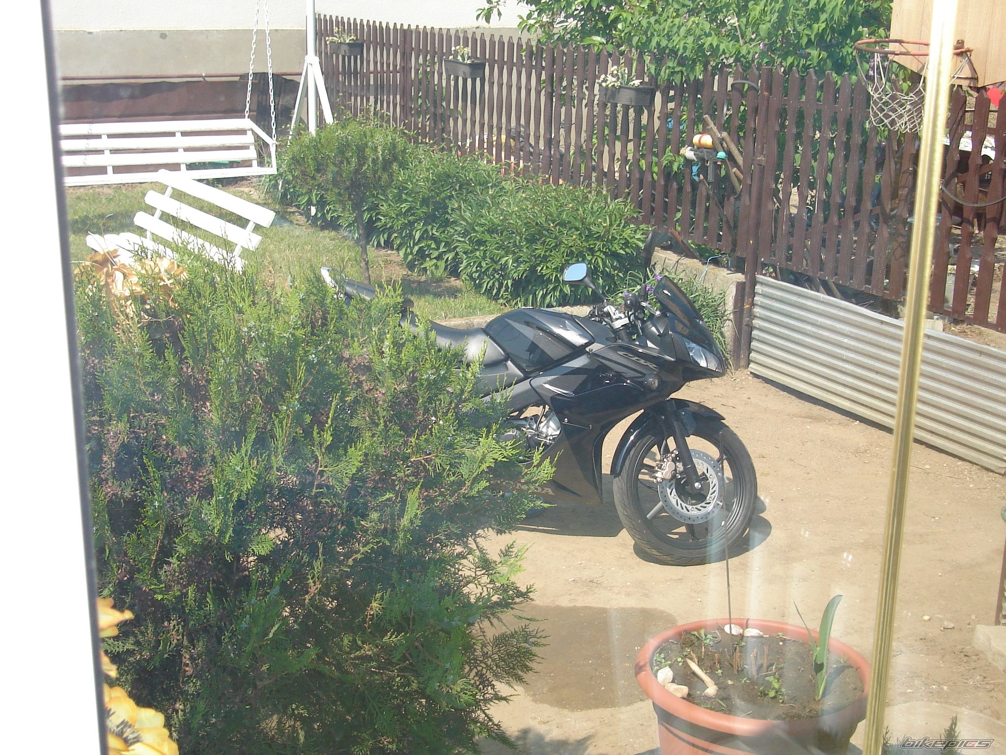 2009 HONDA CBR 125 | Picture 2088673 motorcycle photo