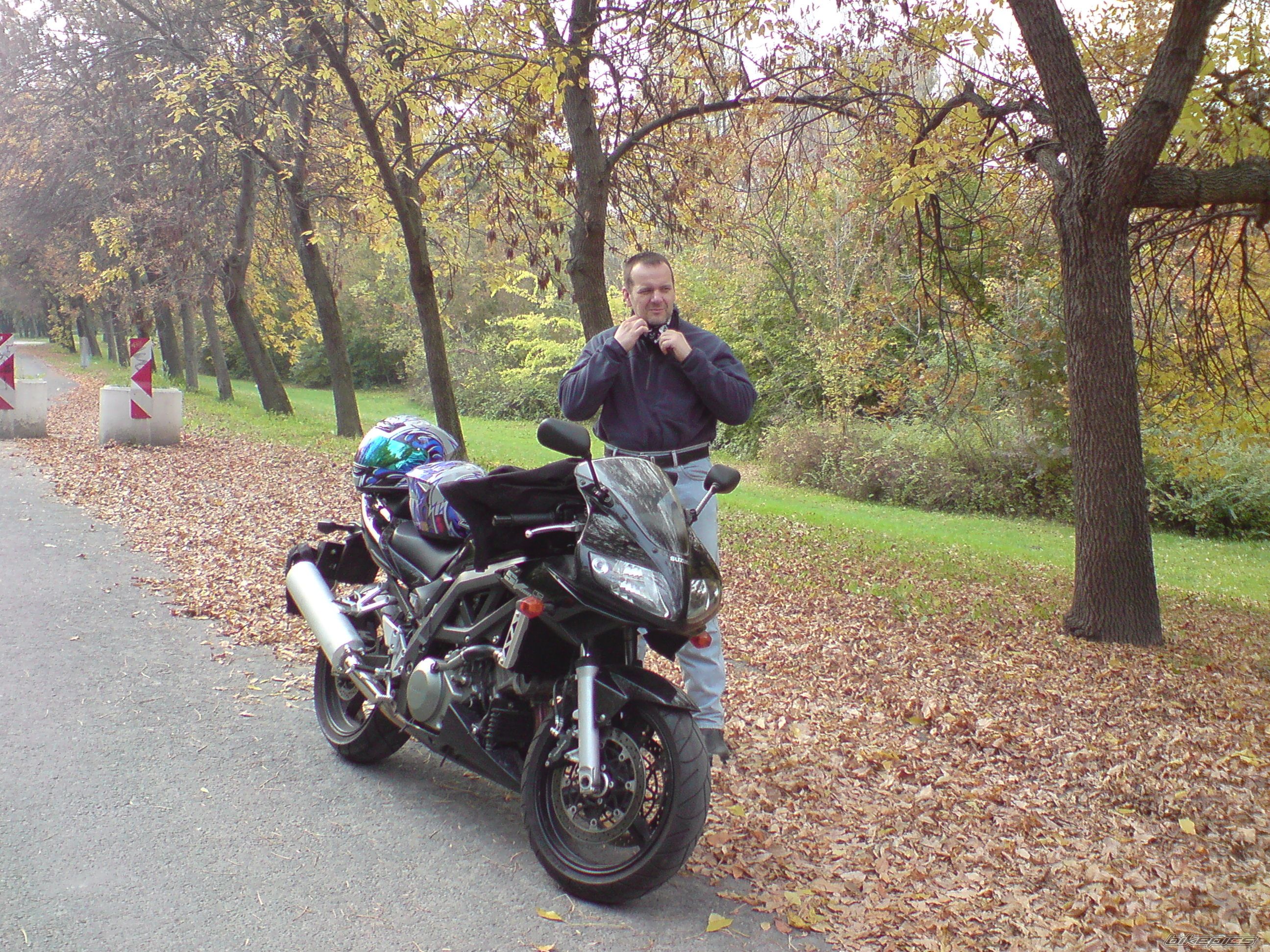 2008 SUZUKI SV 1000 S | Picture 2089117 motorcycle photo