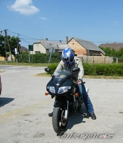 2008 SUZUKI SV 1000 S | Picture 2089124 motorcycle photo