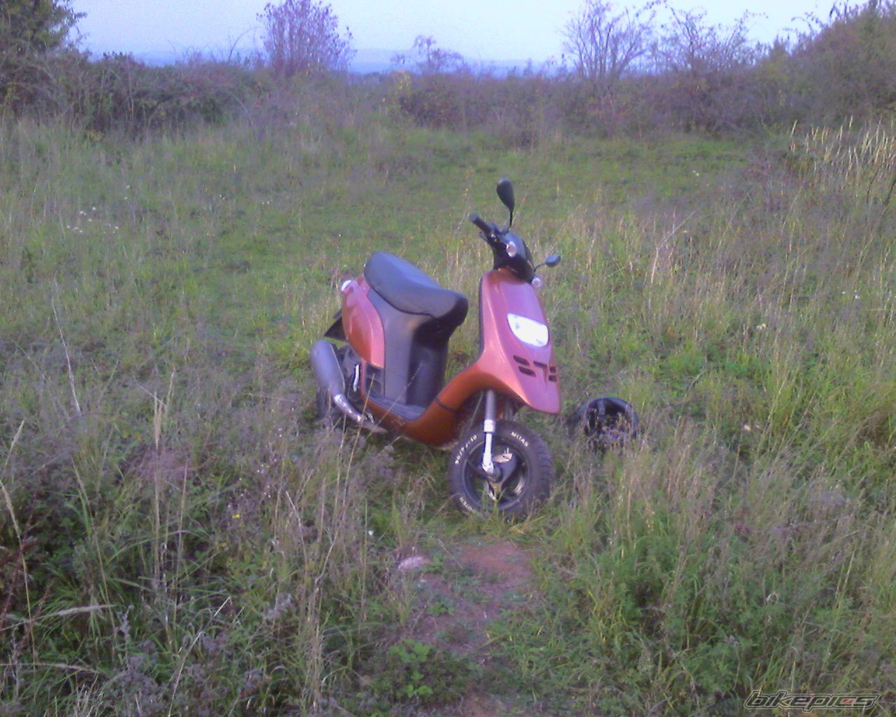 1997 PIAGGIO TPH 125 | Picture 2089935 motorcycle photo