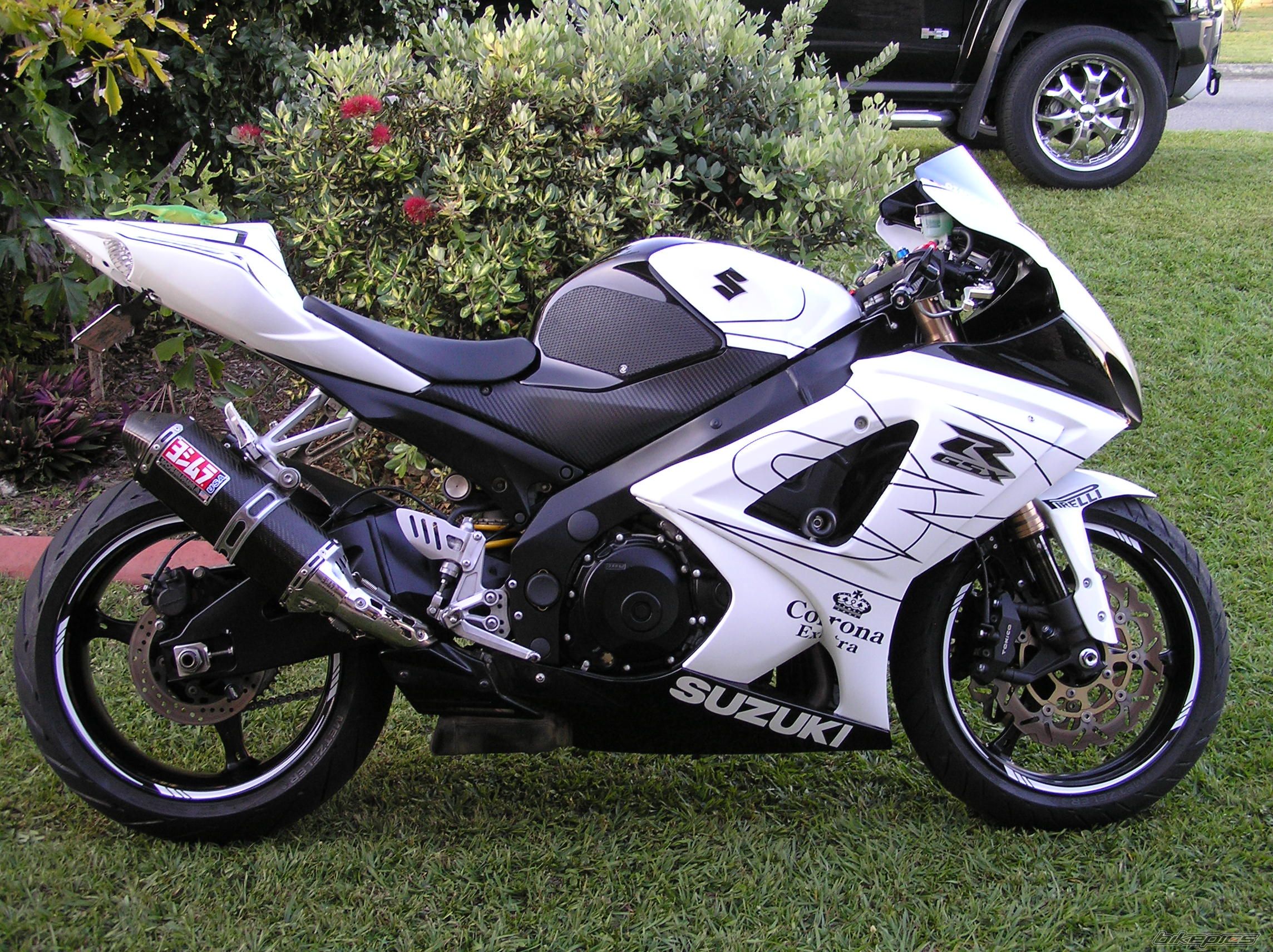 2008 SUZUKI GSX R 1000 | Picture 2090136 motorcycle photo