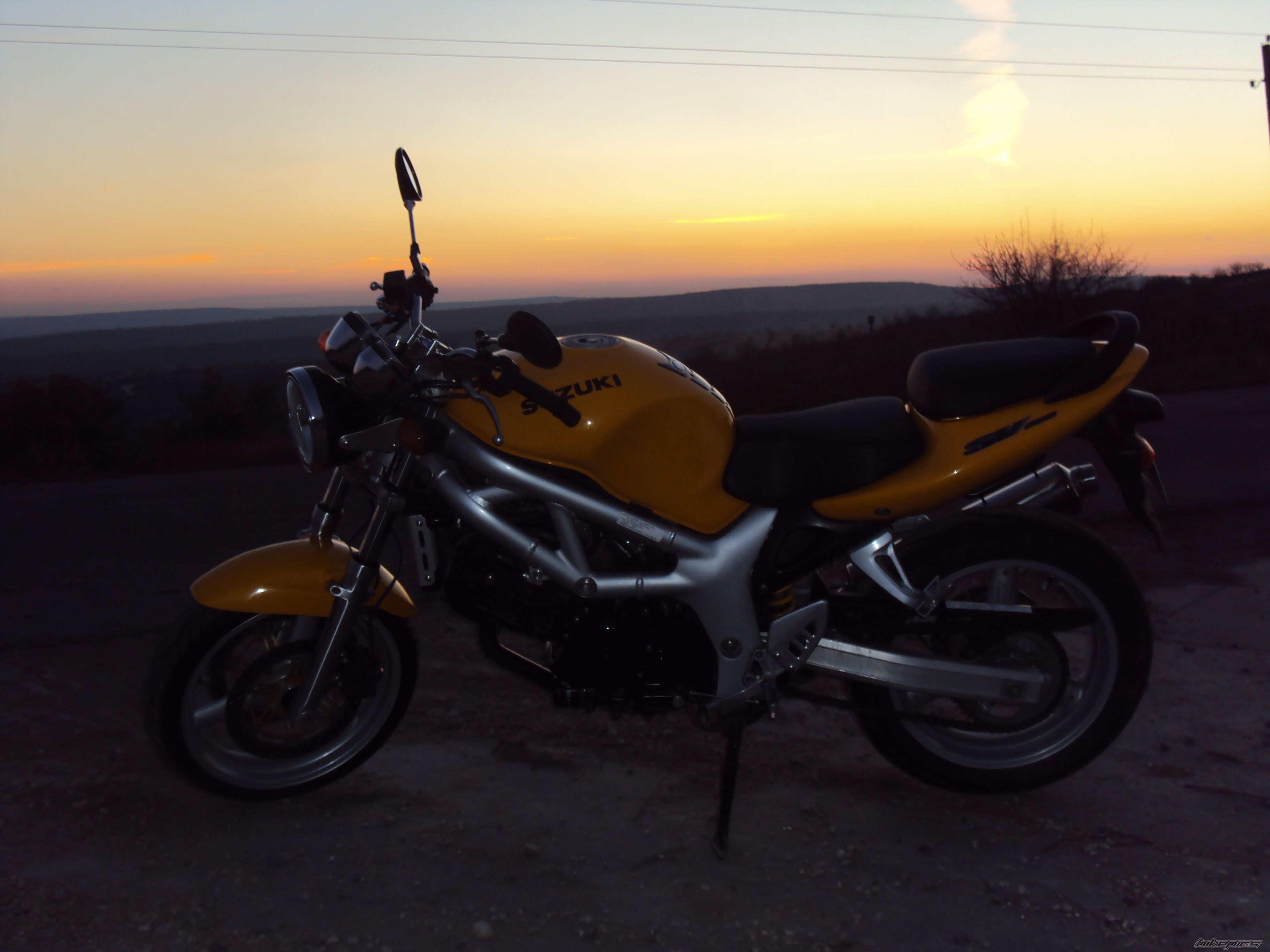 1999 SUZUKI SV 650 | Picture 2090277 motorcycle photo