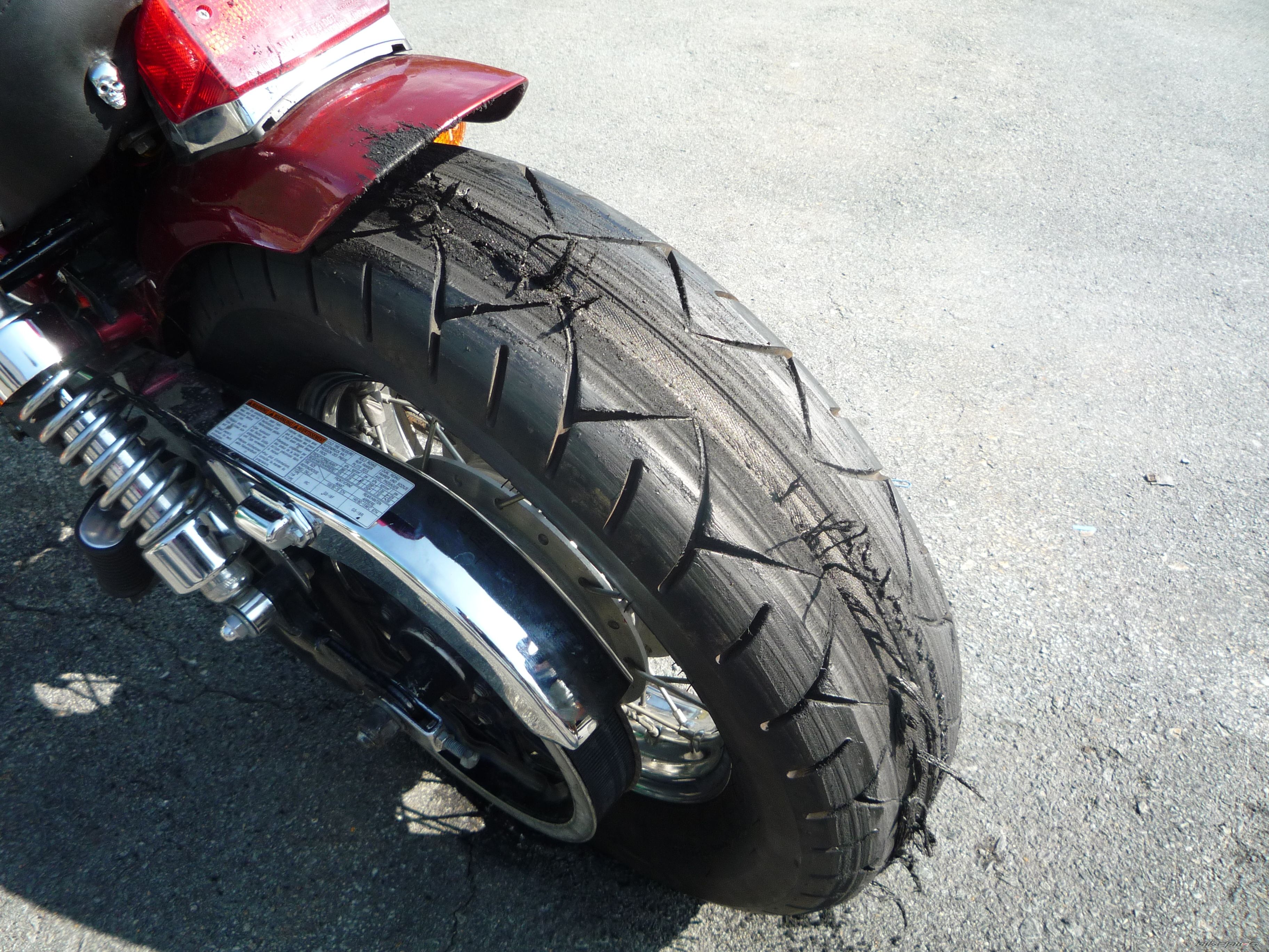 1998 SUZUKI SAVAGE | Picture 2090895 motorcycle photo