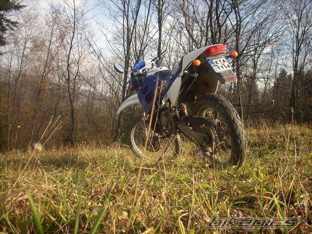 1999 DERBI SENDA R 50 | Picture 2091306 motorcycle photo