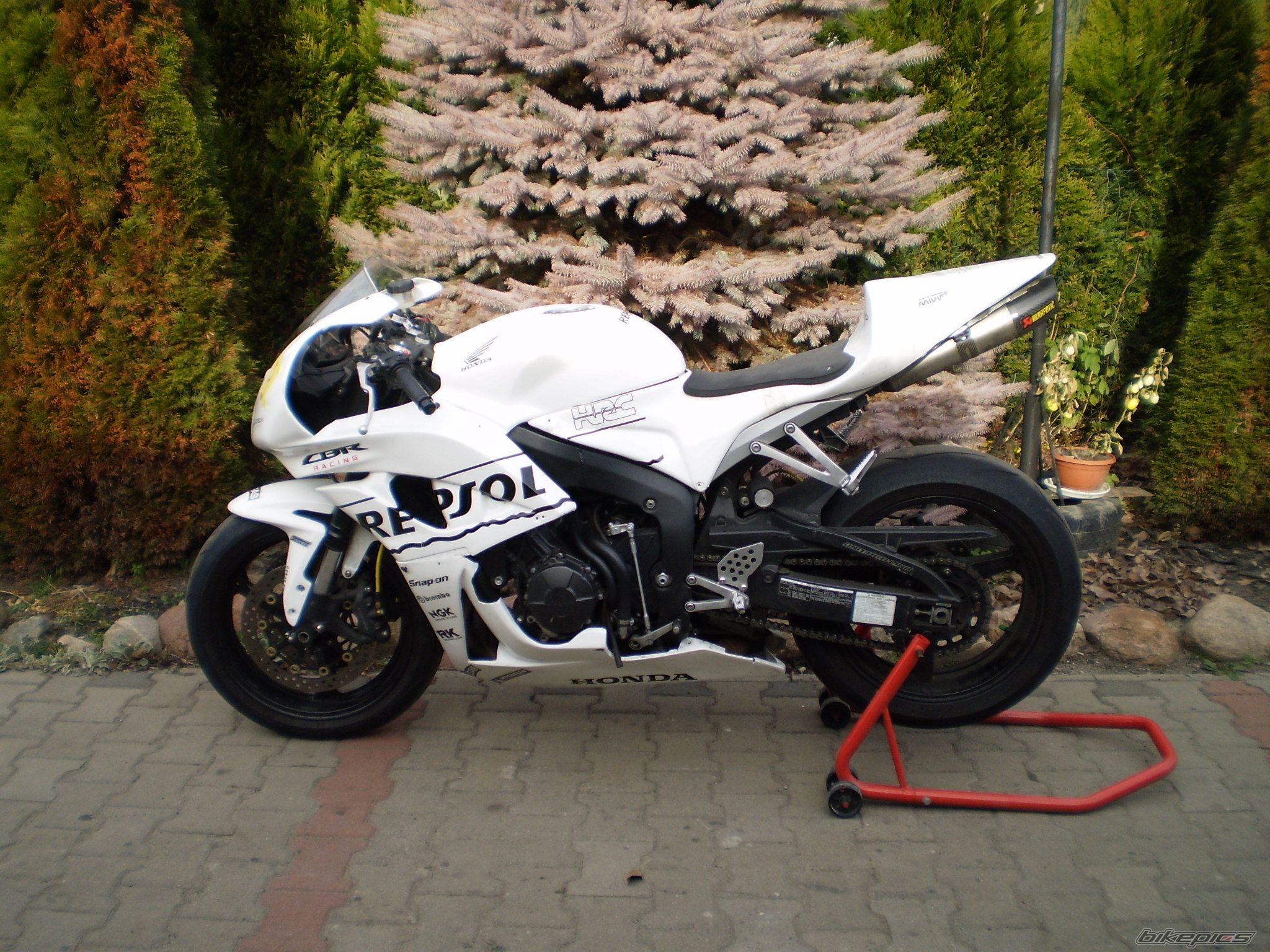 2008 HONDA CBR 600 RR | Picture 2091935 motorcycle photo