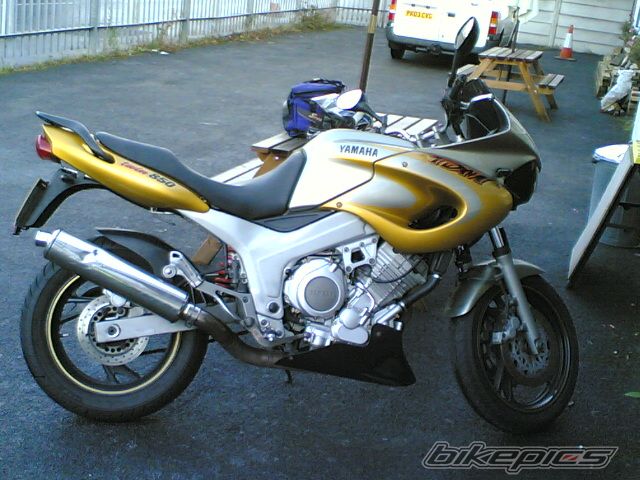 1999 YAMAHA TDM 850 | Picture 2092229 motorcycle photo