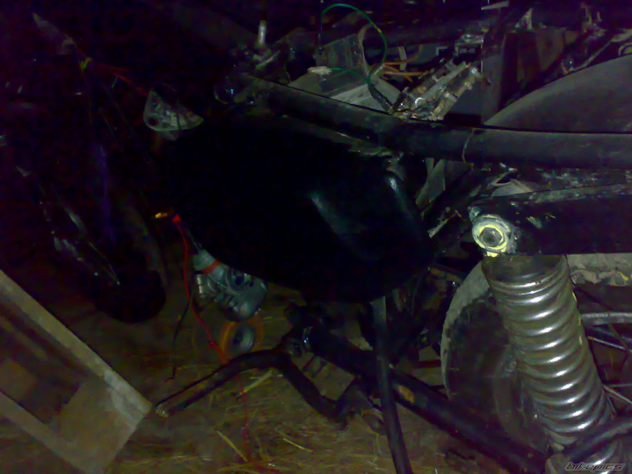 2010 MZ ETZ 150 | Picture 2093341 motorcycle photo