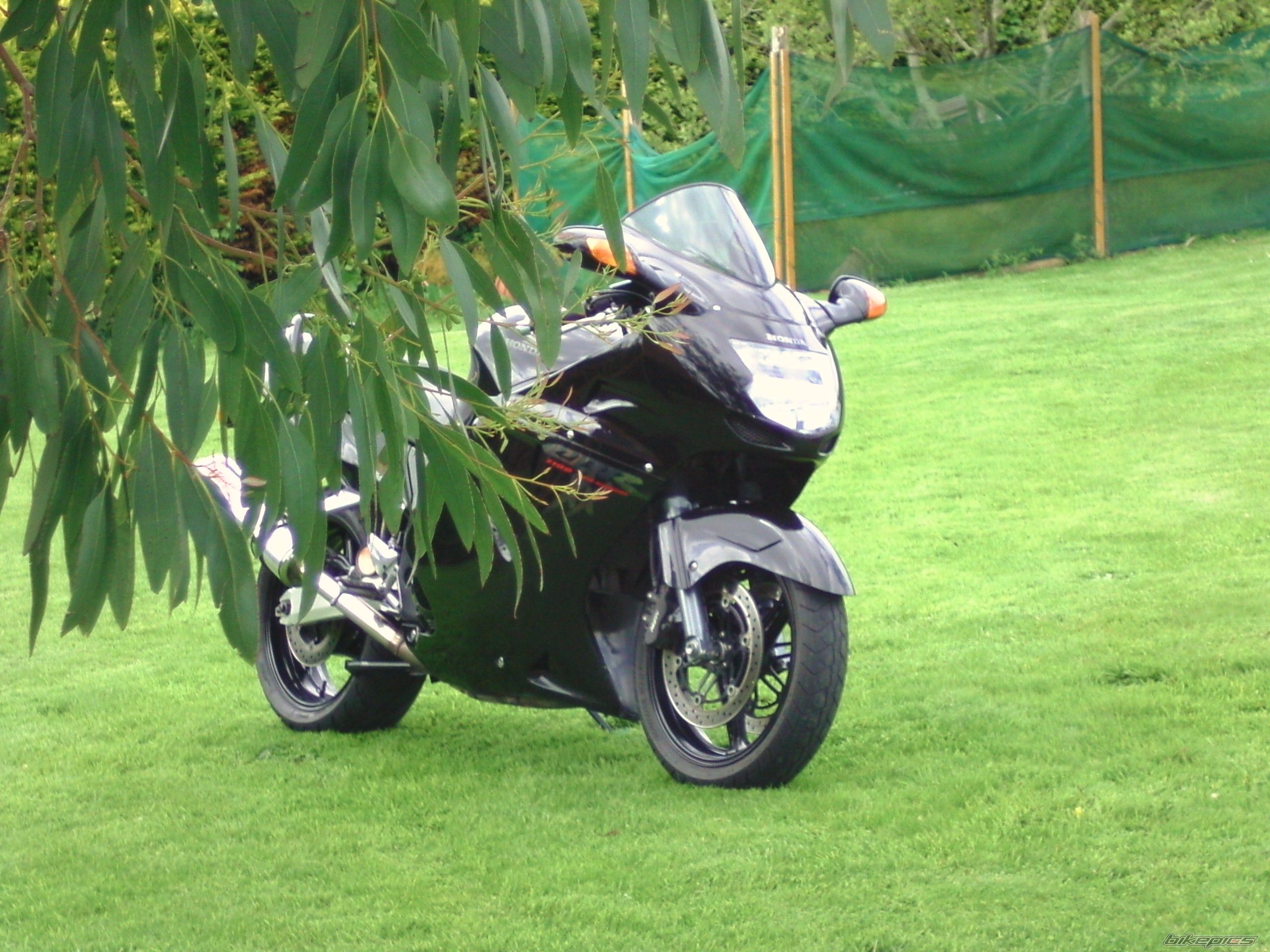 1998 HONDA CBR 1100 BLACKBIRD | Picture 2093582 motorcycle photo