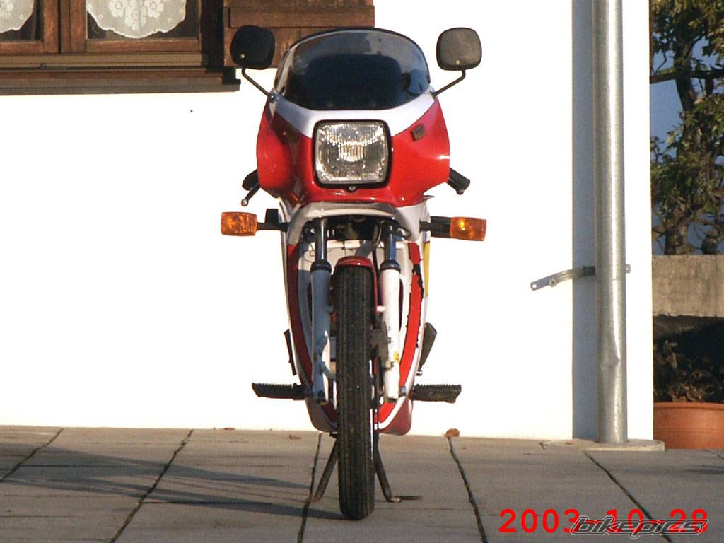 1986 SACHS ULTRA RS 50 | Picture 209386 motorcycle photo